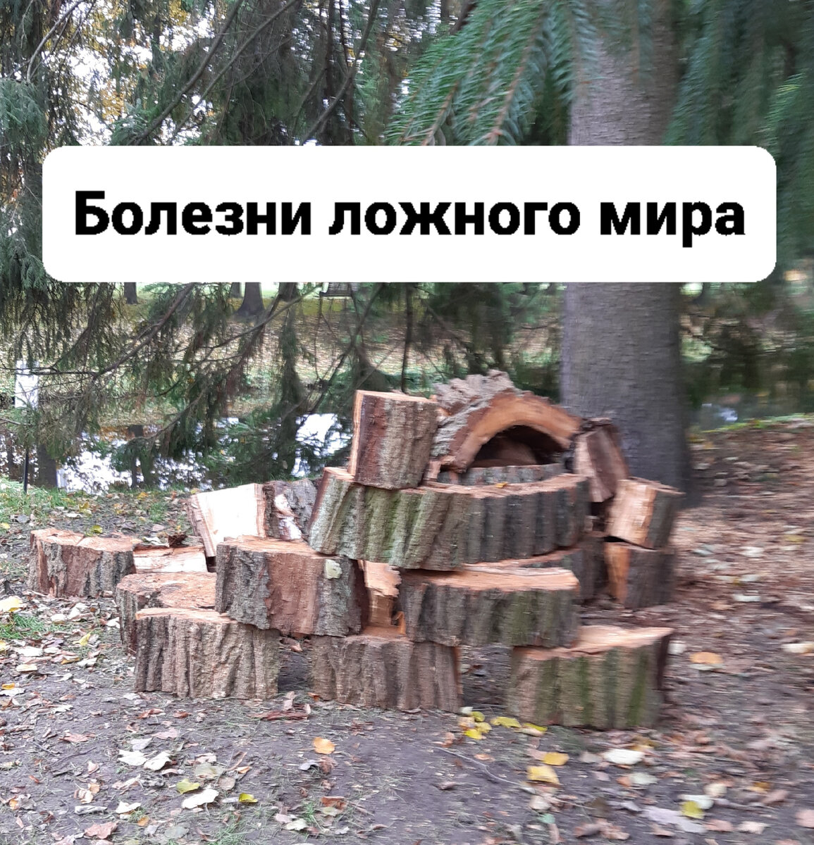 Почему болеют дети? Духовная точка зрения на вопрос. https://t.me/psyhologia_fenix
