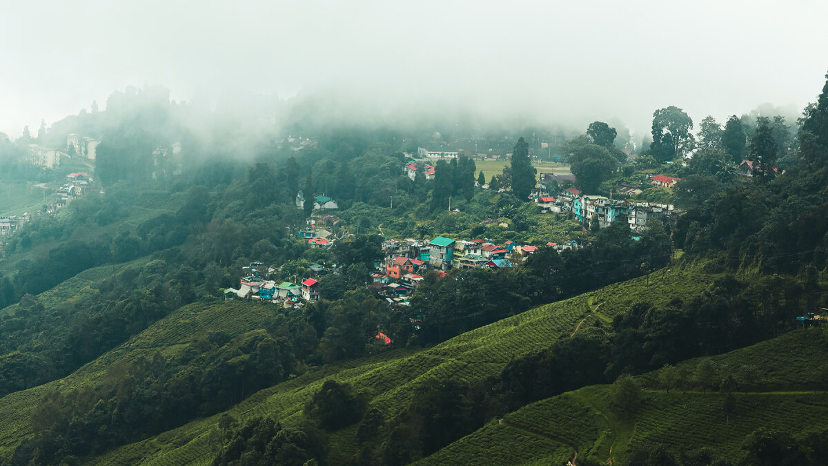 Photo by Rudra Gupta on Unsplash