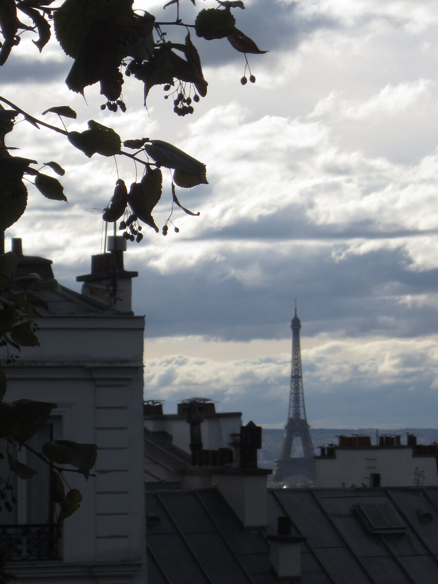 Вид на Эйфелеву башню с Монмартра