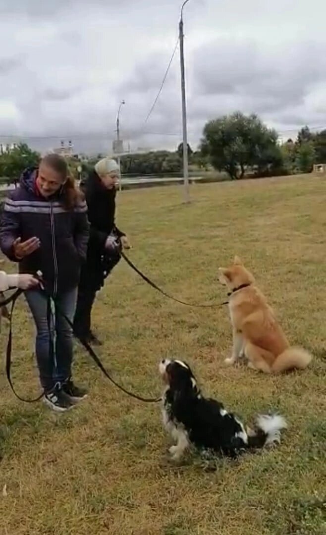 Занятия на природе в паре