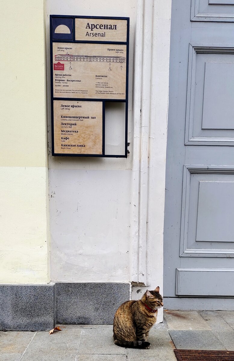 Местный пушистый хранитель левого крыла Нижегородского Арсенала