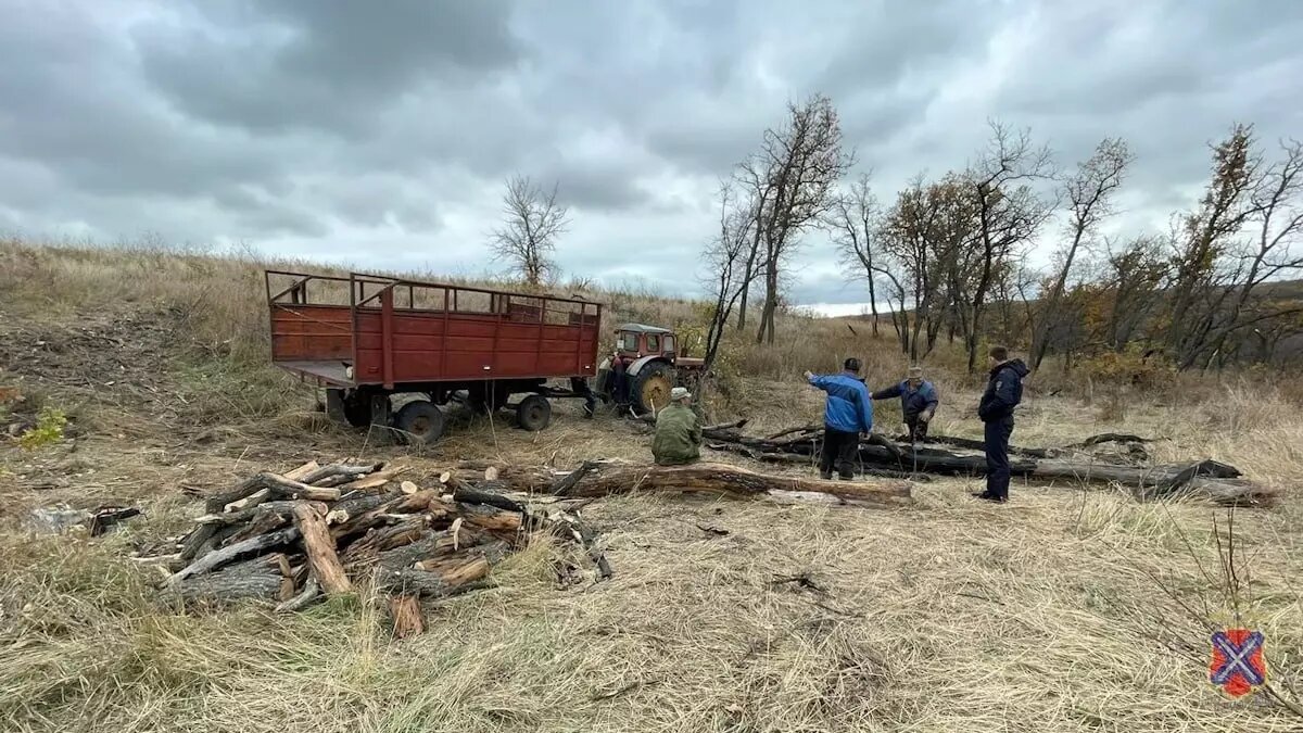     Трое мужчин стали фигурантами уголовного дела за незаконную вырубку дубов в Волгоградской области, сообщает региональная полиция.