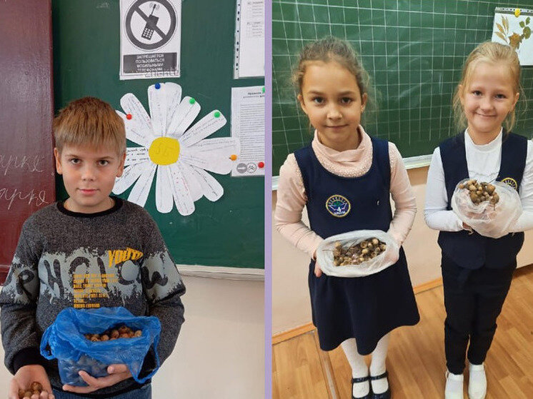 ФОТО: ТЕЛЕГРАМ-КАНАЛ "ОРЛОВСКАЯ ЛАСТОЧКА" 