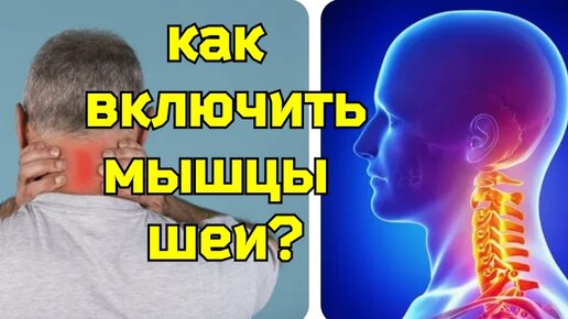 Download Video: Кровоснабжение мозга зависит от движений шеи. Как правильно поворачивать голову?