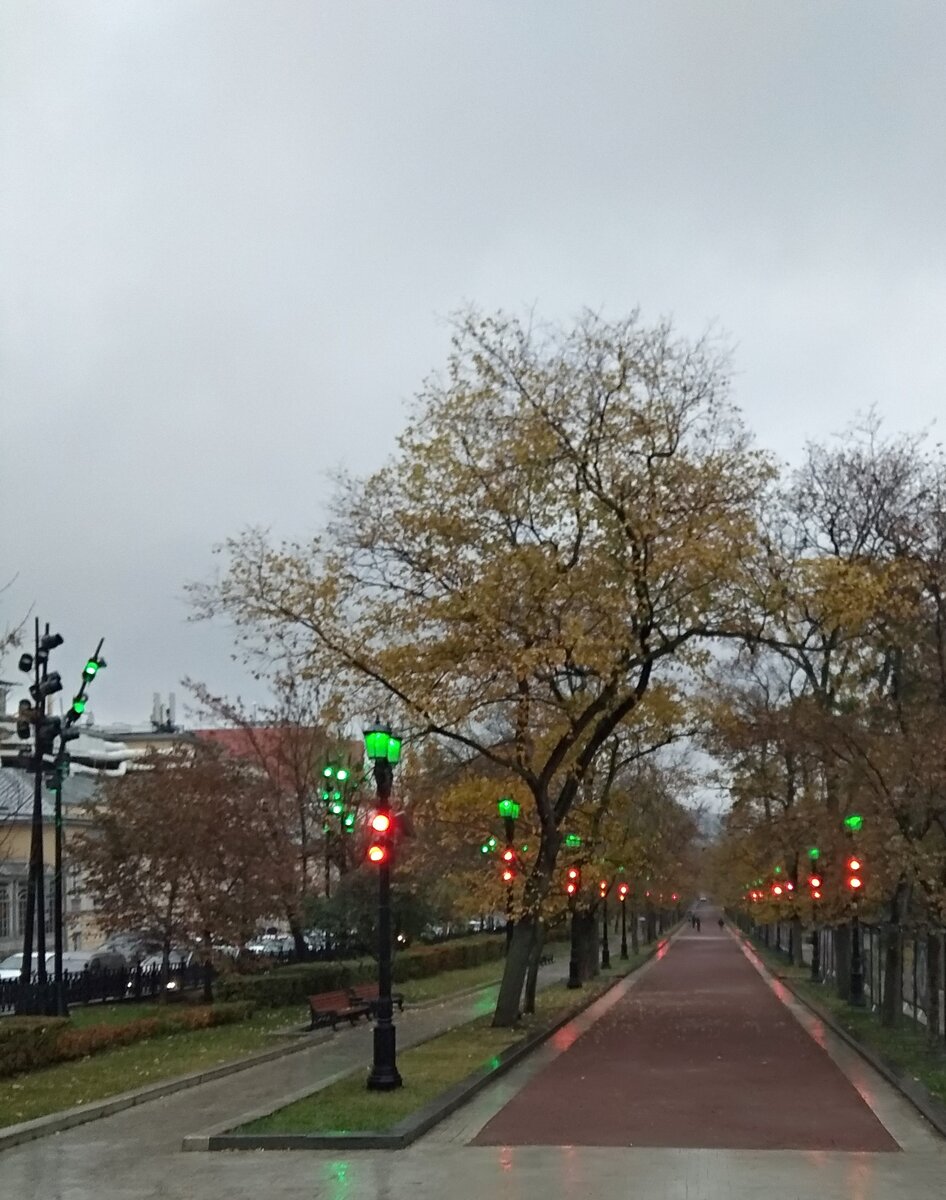 Тверской бульвар в Москве: прошлое и настоящее главного столичного бульвара  | Дорогая моя столица | Дзен