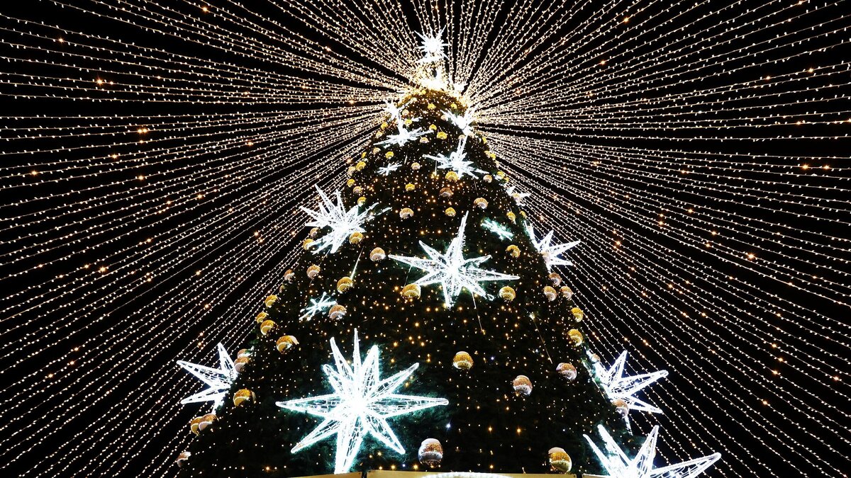    Как подготовиться к Новому году и не разориться: два простых совета© РИА Новости | Павел Львов