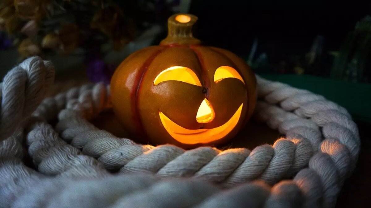     В Предгорном округе осудили празднование Хэллоуина, в правительстве заявили, что не будут награждать сына Кадырова, а экс-следователь вымогал 300 тысяч рублей — NewsTracker представляет обзор информационной картины дня 25 октября.