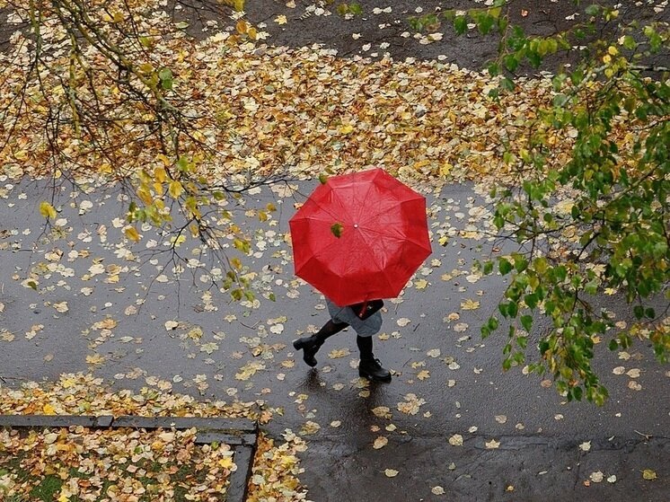     Фото: архив "МК в Пскове"