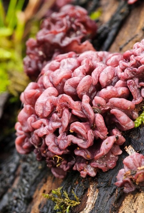 фото из открытого источника