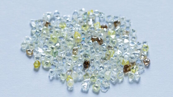    РИА Новости: ЕС может включить алмазы и алюминий в новый пакет санкций против РФ Анна Белая