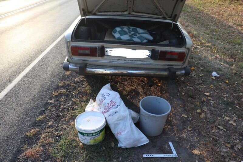    Фото: региональное УМВД