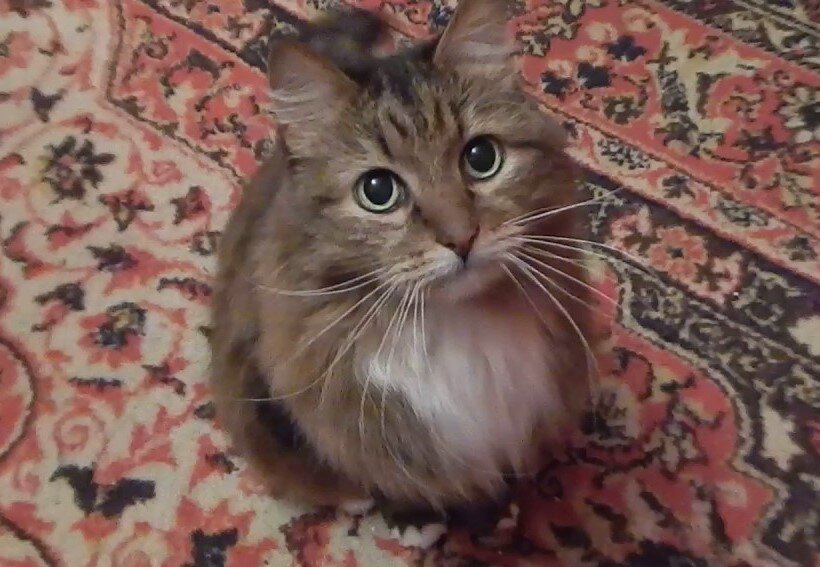 Фото из Интернета.