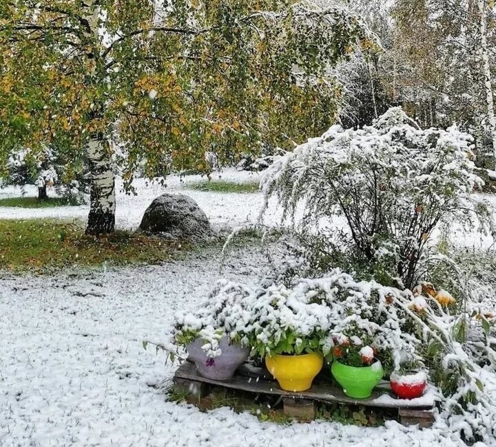Противоречия осени... 
