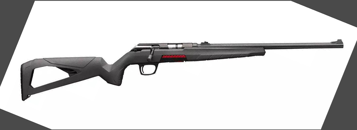 Winchester Xpert 22 