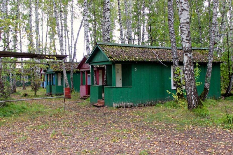 Лагерь белово. Лагерь Дельфин Бердск. Пионерский лагерь Дельфин на Можайском водохранилище. Лагерь Дельфин Белово. Арчекас лагерь.