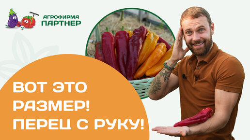 Перцы для цельноплодного запекания и фаршировки