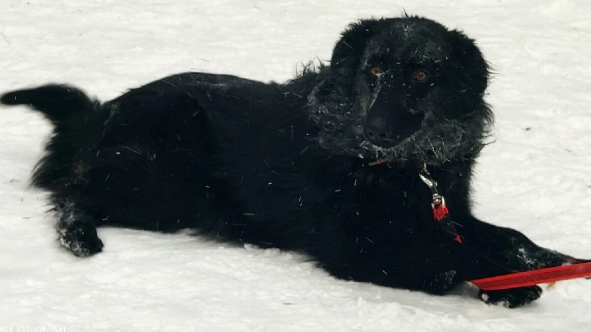 Правда, Чери очень похожа на маму Зару?