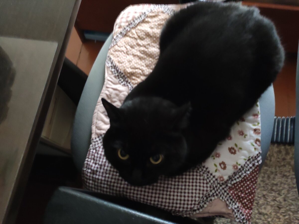 Фото автора 