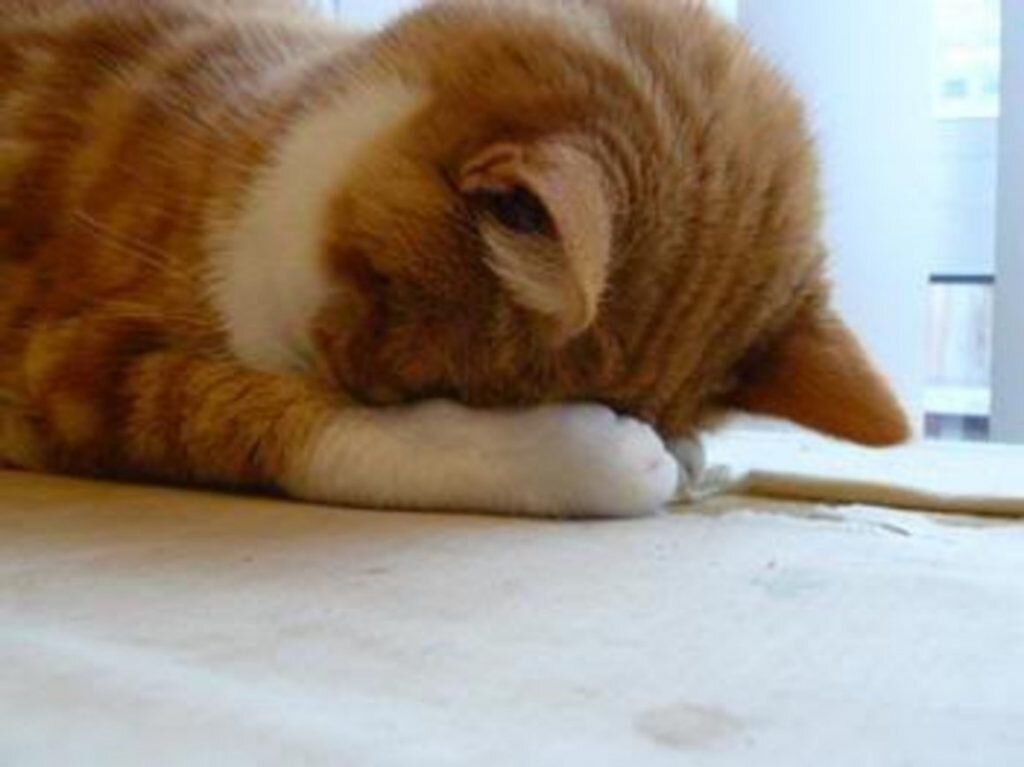 Какой отстой!