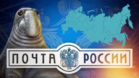 Добавьте описание