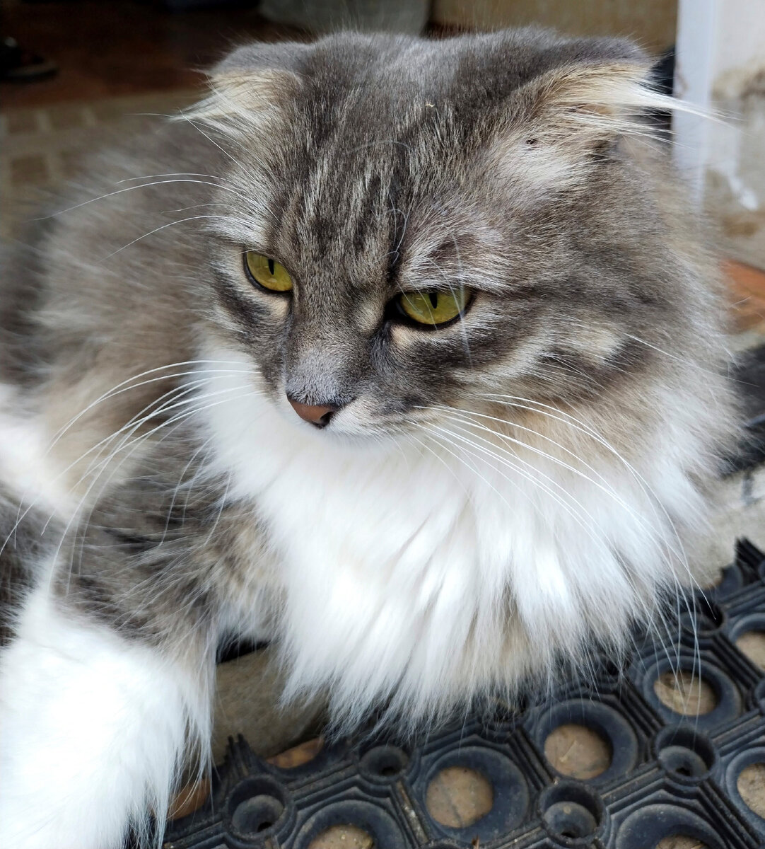 Не ходи, мама. туда..