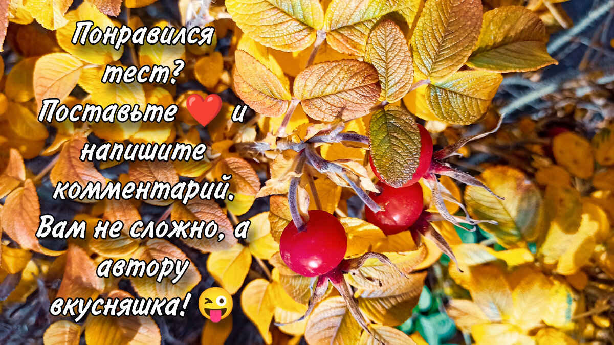 Спасибо, что остаётесь с нами!