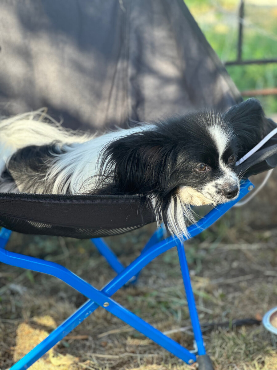 Ну, теперь отдохнуть можно😴