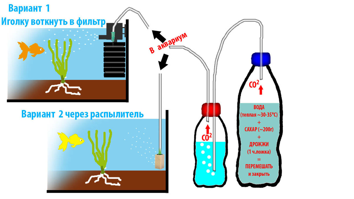 Системы подачи углекислого газа (СО2) для аквариумов