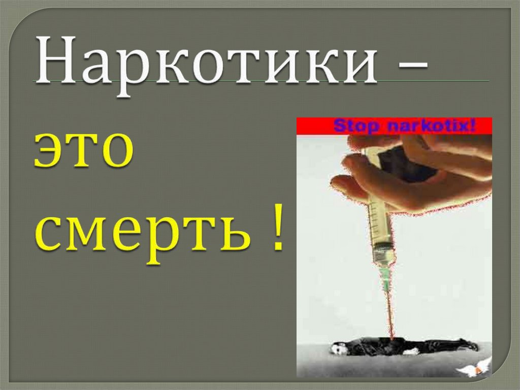 Добавьте описание