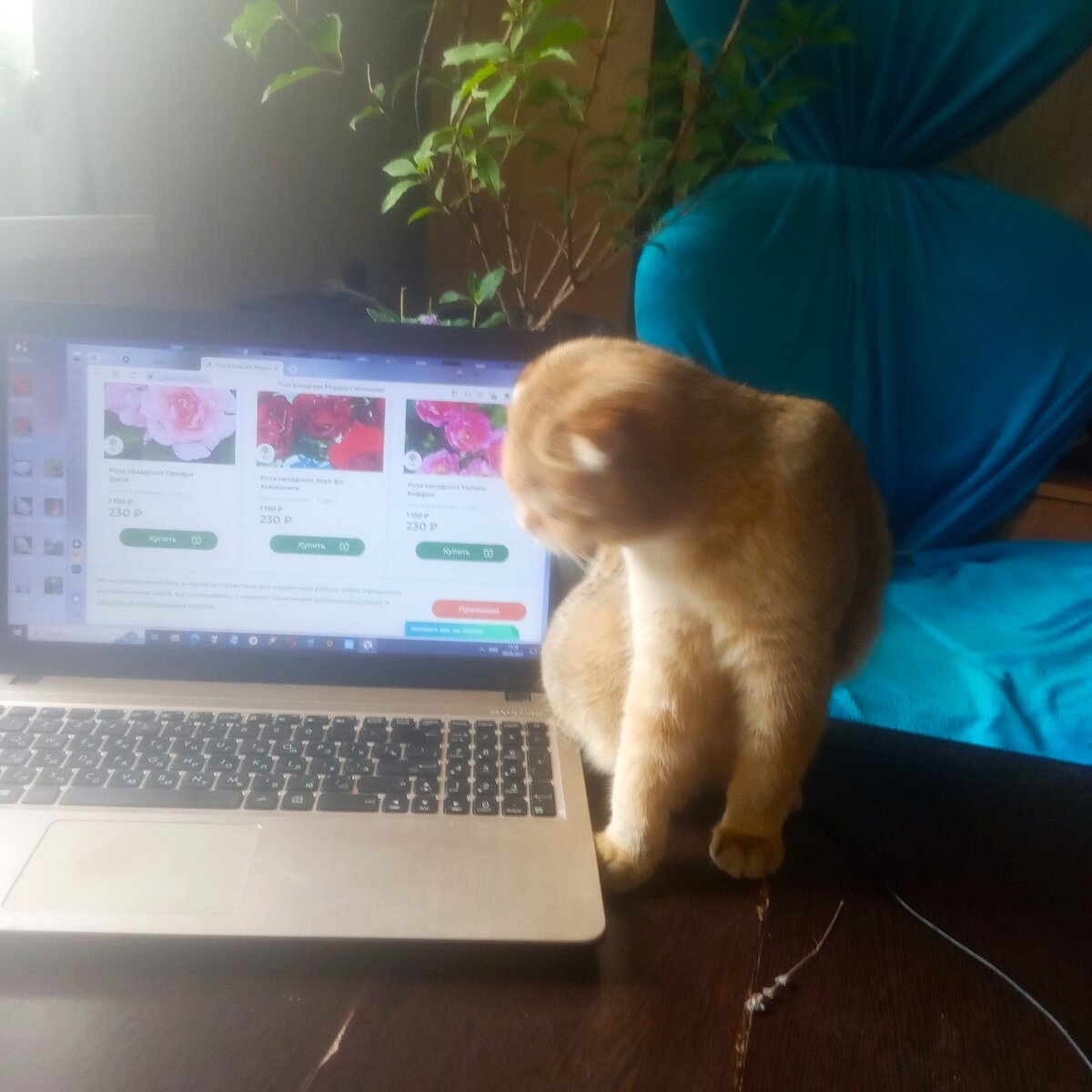 И чего ты там всё пишешь?Может и мне про тебя чего-нибудь написать?