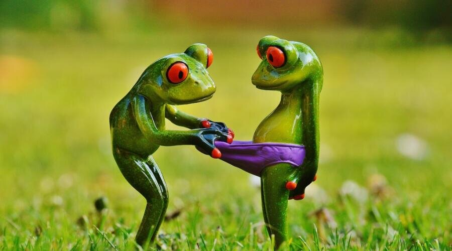    Что такое экстендеры и зачем они нужны? Фото: по лицензии PxHere