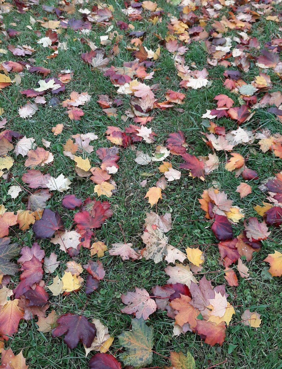 Фото автора канала