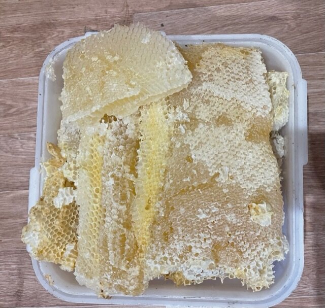 Почему мед скрипит крупицами? Все о сверхспособностях меда