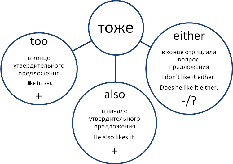 Тоже перевод. Too either правило. Too either разница.