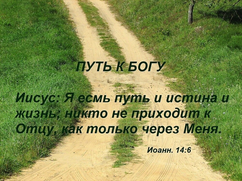 Из открытых источников Яндекса.