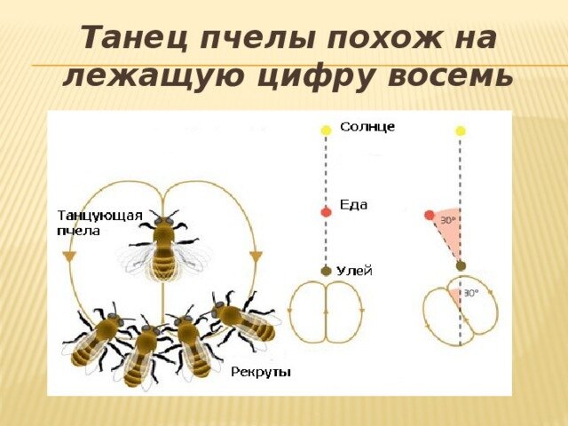 Автор Блог о Важном 2023Г.