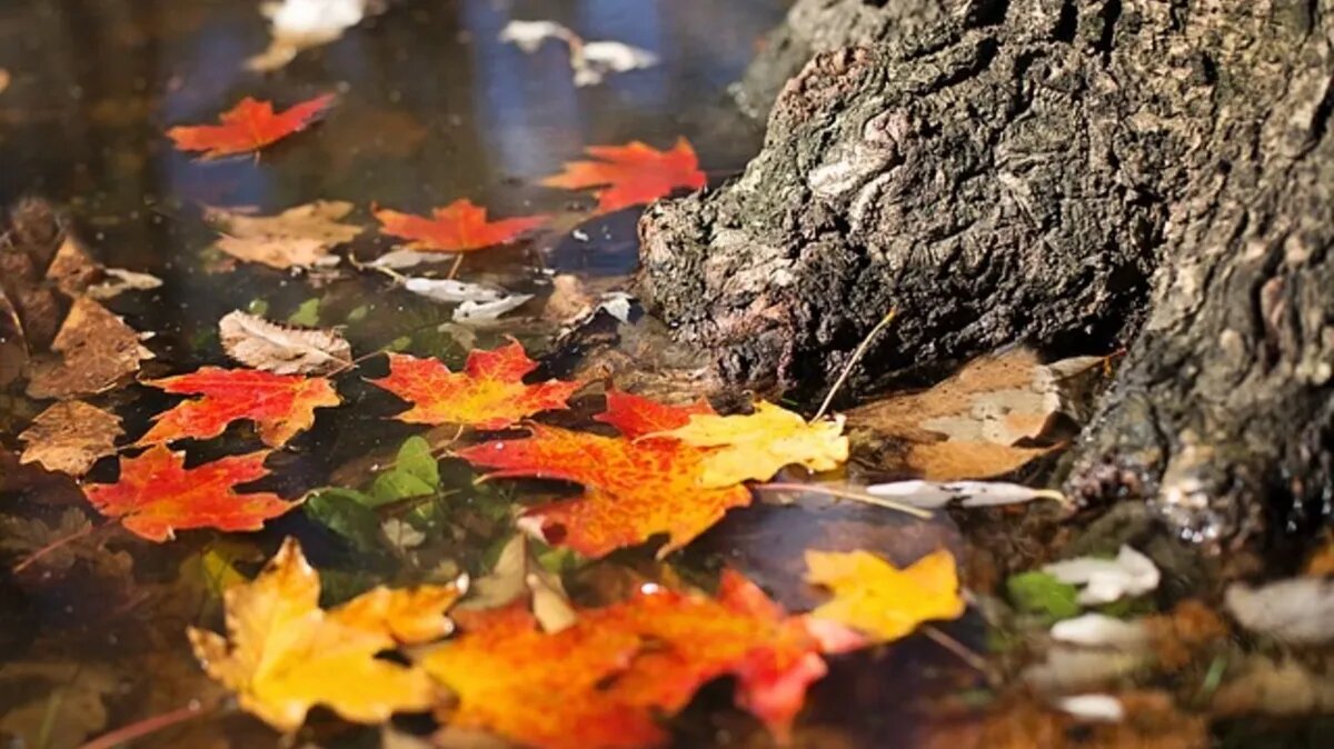 Сегодня один в поле - не воин. Фото: pixabay.com