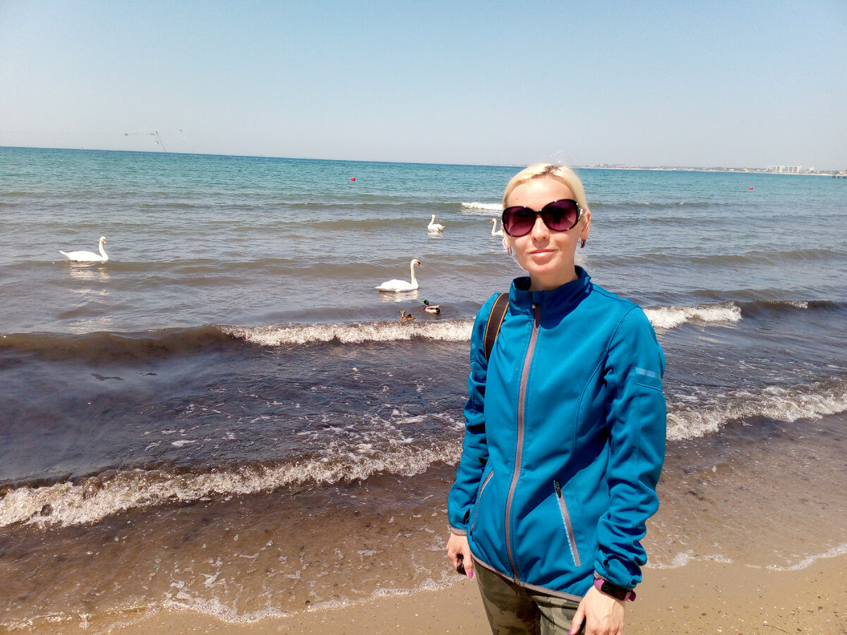 Море и лебеди. Фото автора канала "Любимый Сочи со всех сторон"