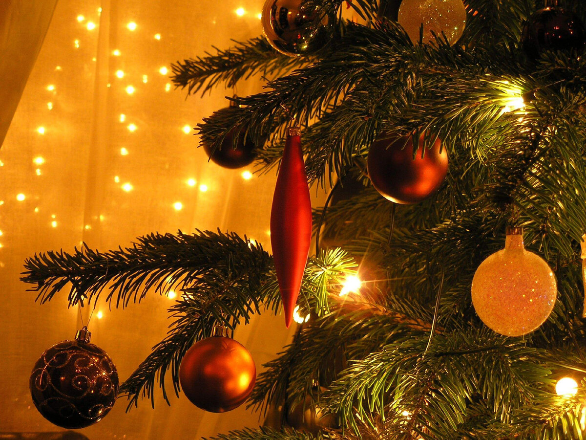 Картинка из источника в свободном доступе.