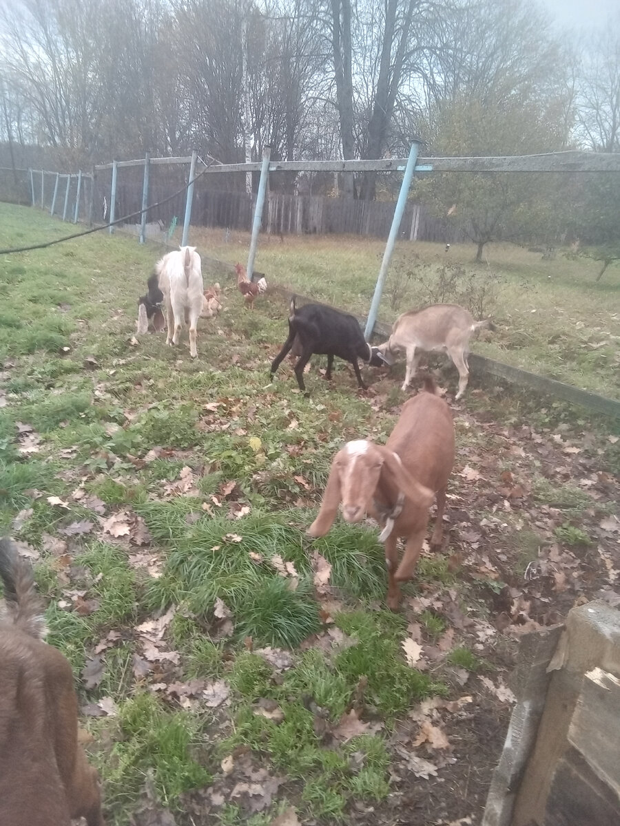 Фото автора. 