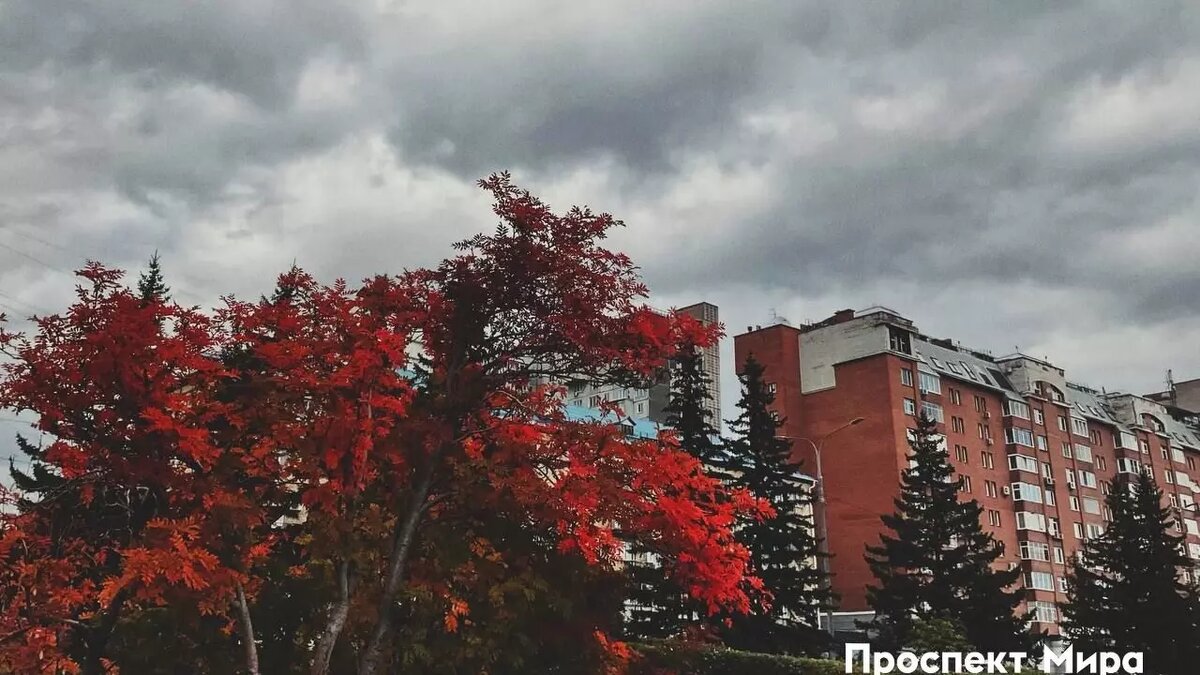     В Красноярске 26 октября будет аномально тепло для октября. Обещают на 10° выше климатической нормы.