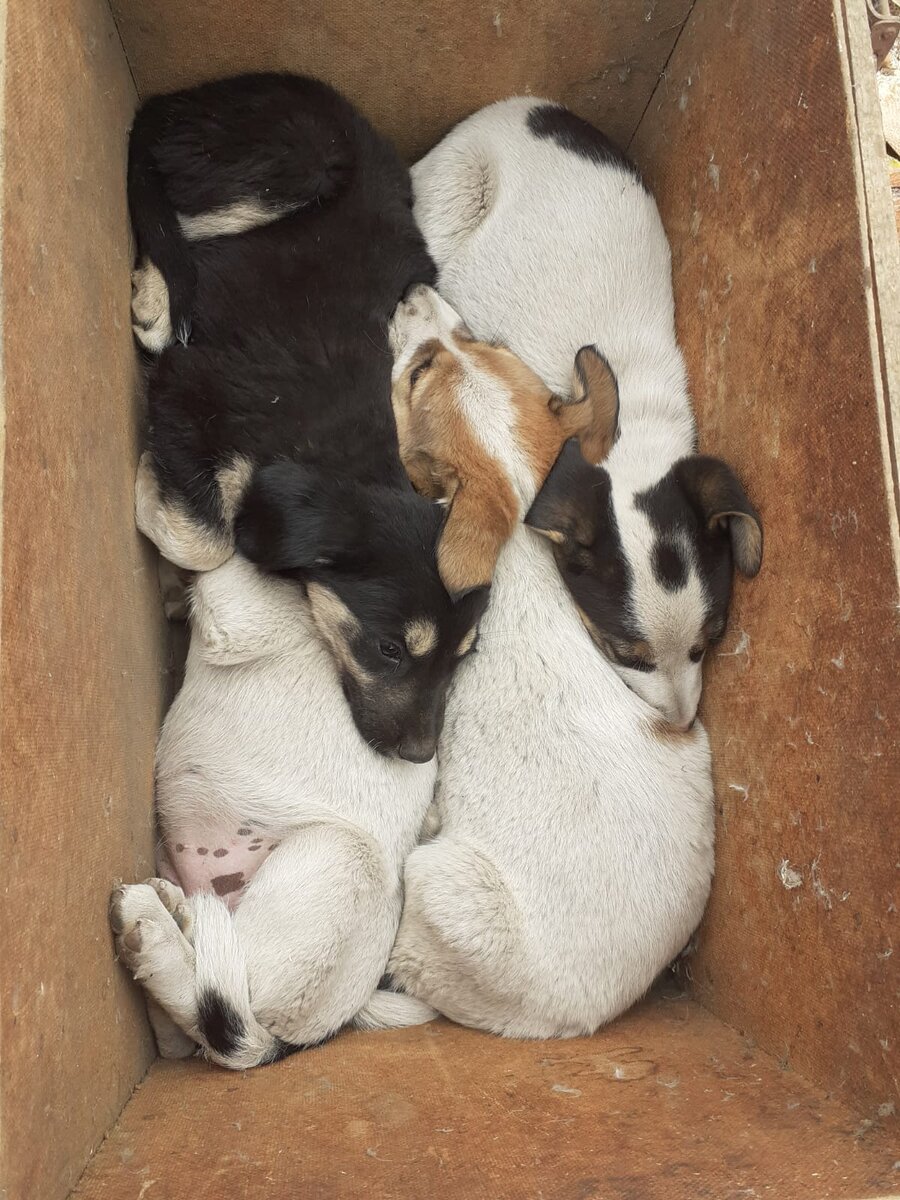 Вот эта коробка