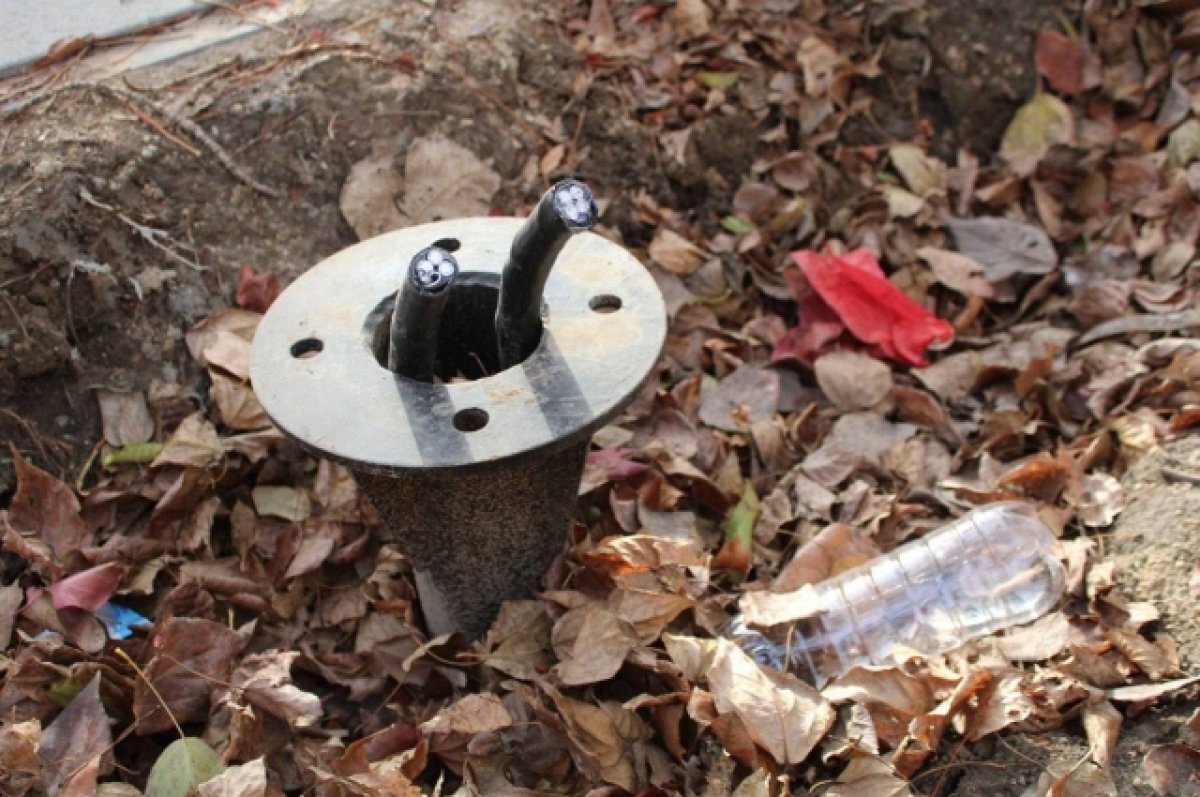    В Алтайском крае неизвестные срезали кабель фонарей на аллее участников СВО