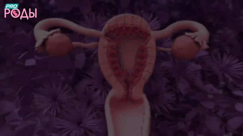 Календарь цикла