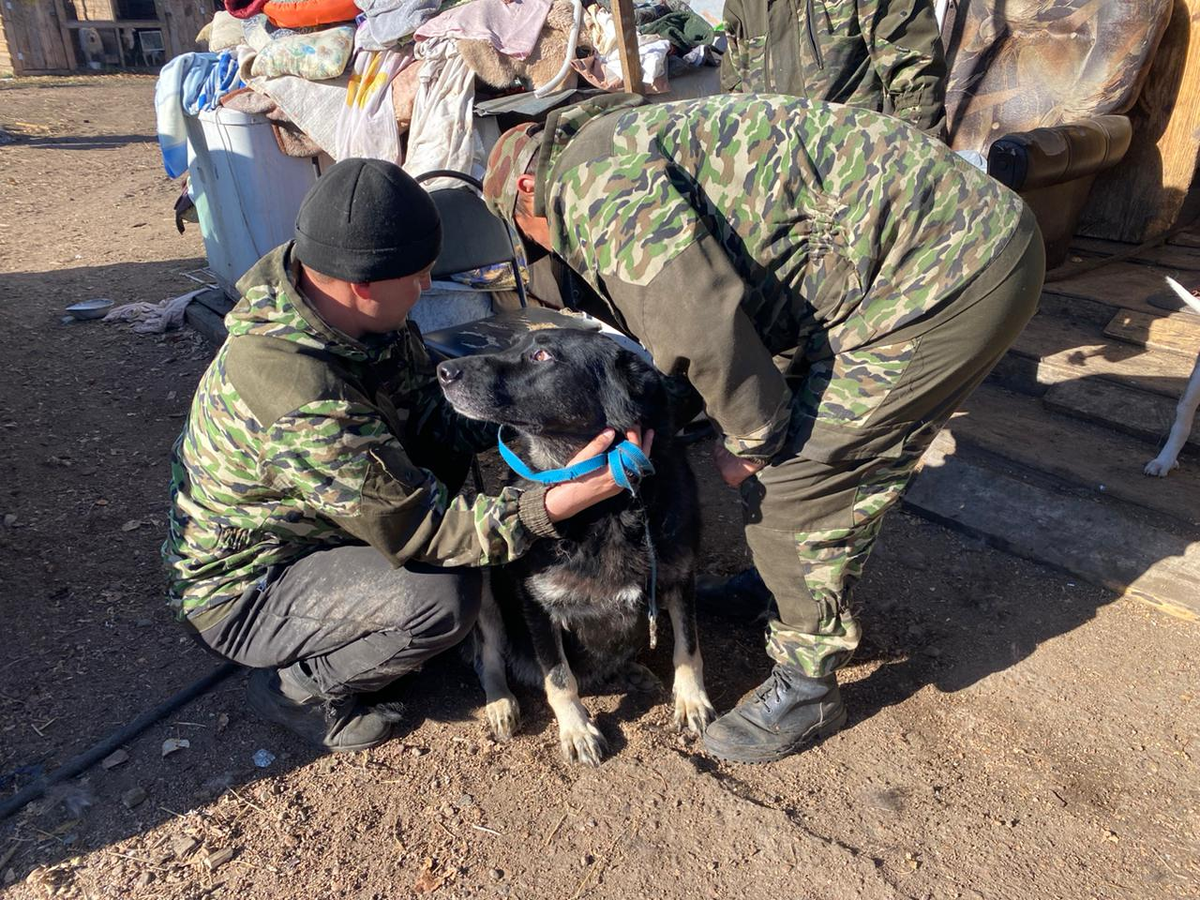 Обнимашки