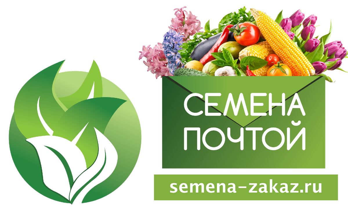 Семена на вайлдберриз. Семена почтой. Семена интернет магазин. Магазин семена почтой. Озеры семена почтой