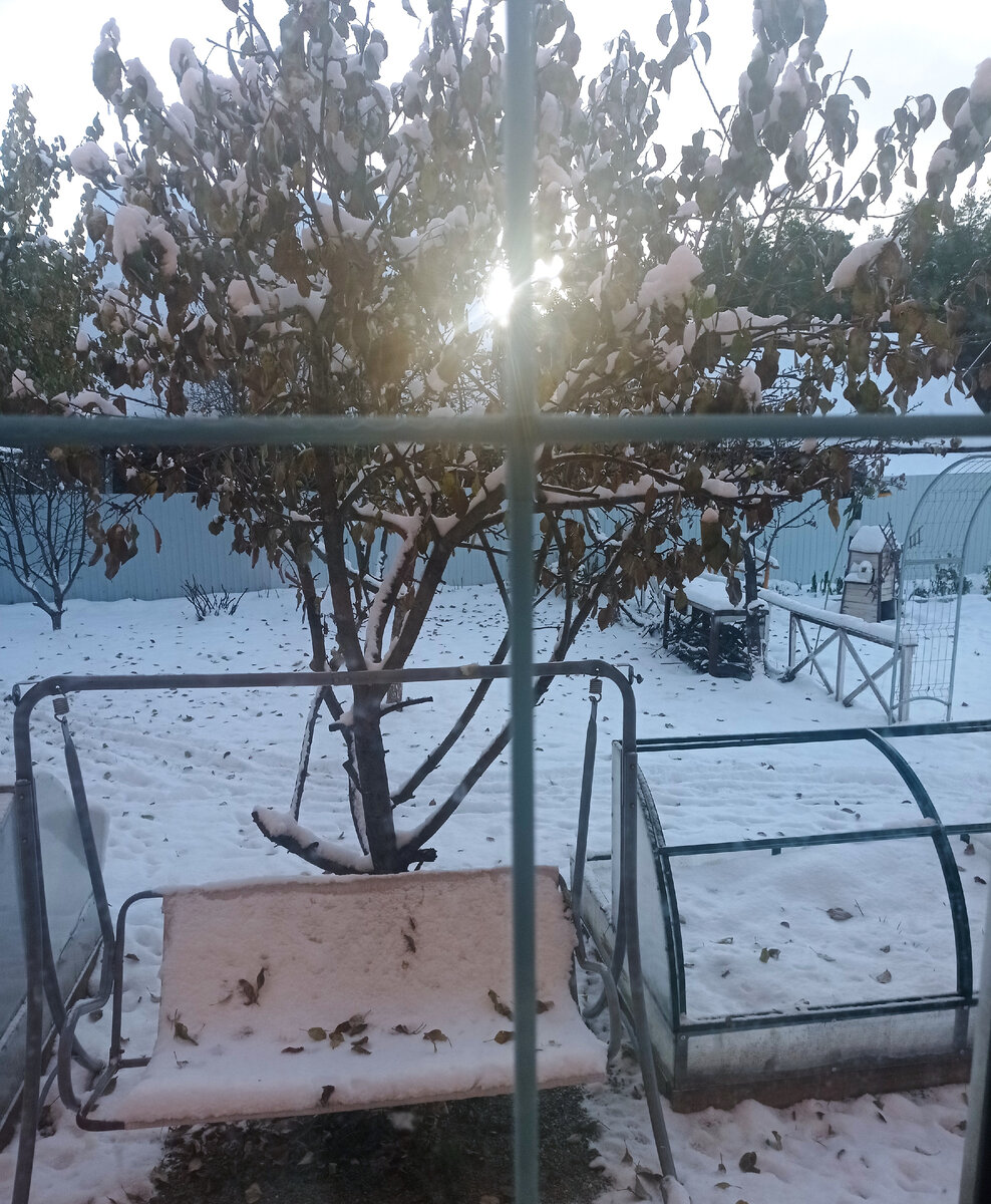 С утра солнышко пробивается.