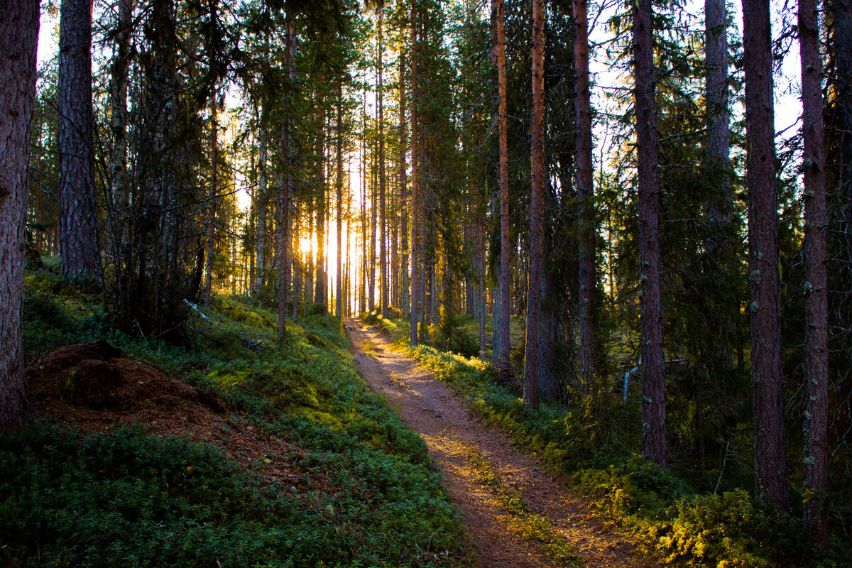  istockphoto.com