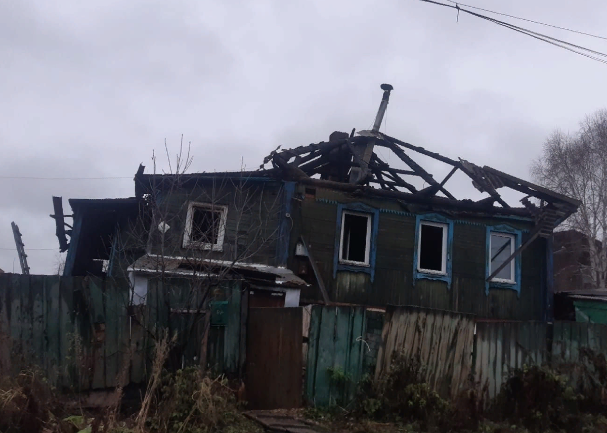 Пожарный каждый год спасает собак и приводит их к себе домой в память об ушедшем питомце