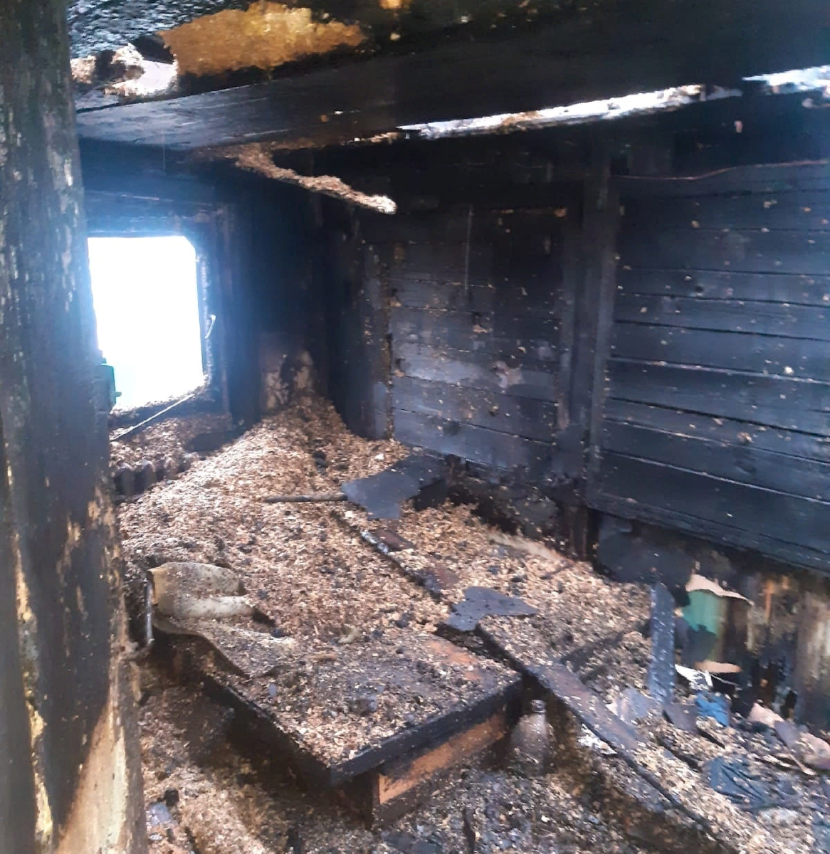 Память об ушедшем питомце